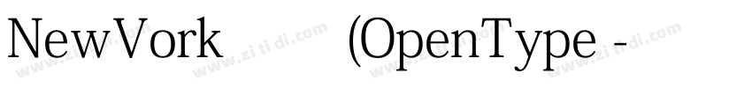 NewVork 常规(OpenType 字体转换